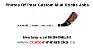 Blank Composite Mini Hockey Sticks, Colour Hockey Pucks, composite mini sticks, custom hockey jerseys, custom hockey sticks, Custom Printed Colour Hockey Pucks, Custom Printed Colour Hockey Pucks Price, Custom Wood Hockey Mini Player Stick, customized hockey jerseys, hockey monkey, hockey puck, hockey stick, hockey sticks, hockey sticks canada, mini hockey, mini hockey sticks, mini hockey sticks canada, mini hockey sticks toronto, mini stick, mini sticks, the hockey shop